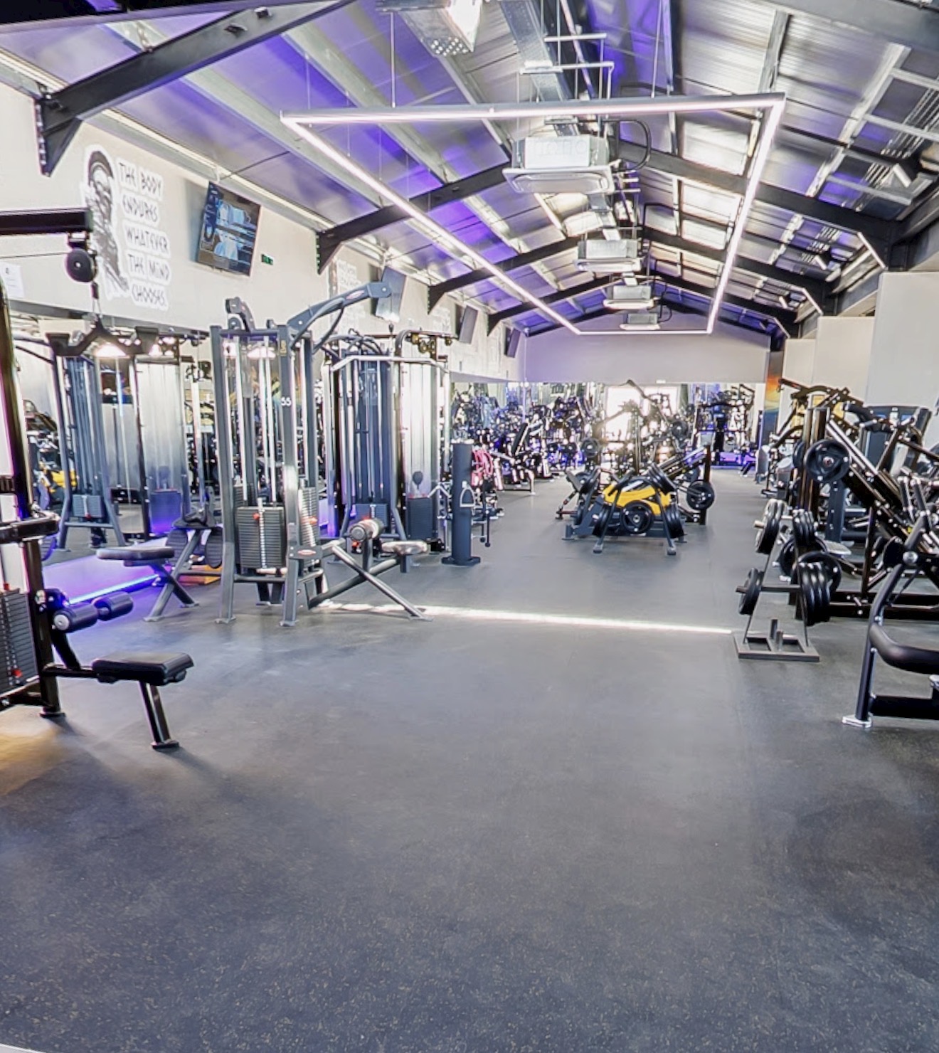 VIP GYM Paralimni cardio equipment 4