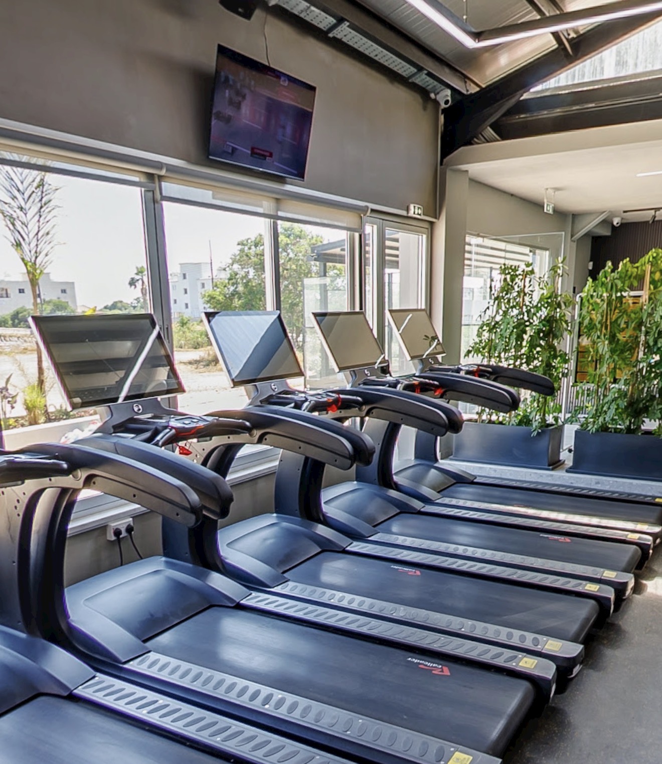 Cardio zone at VIP GYM Paralimni