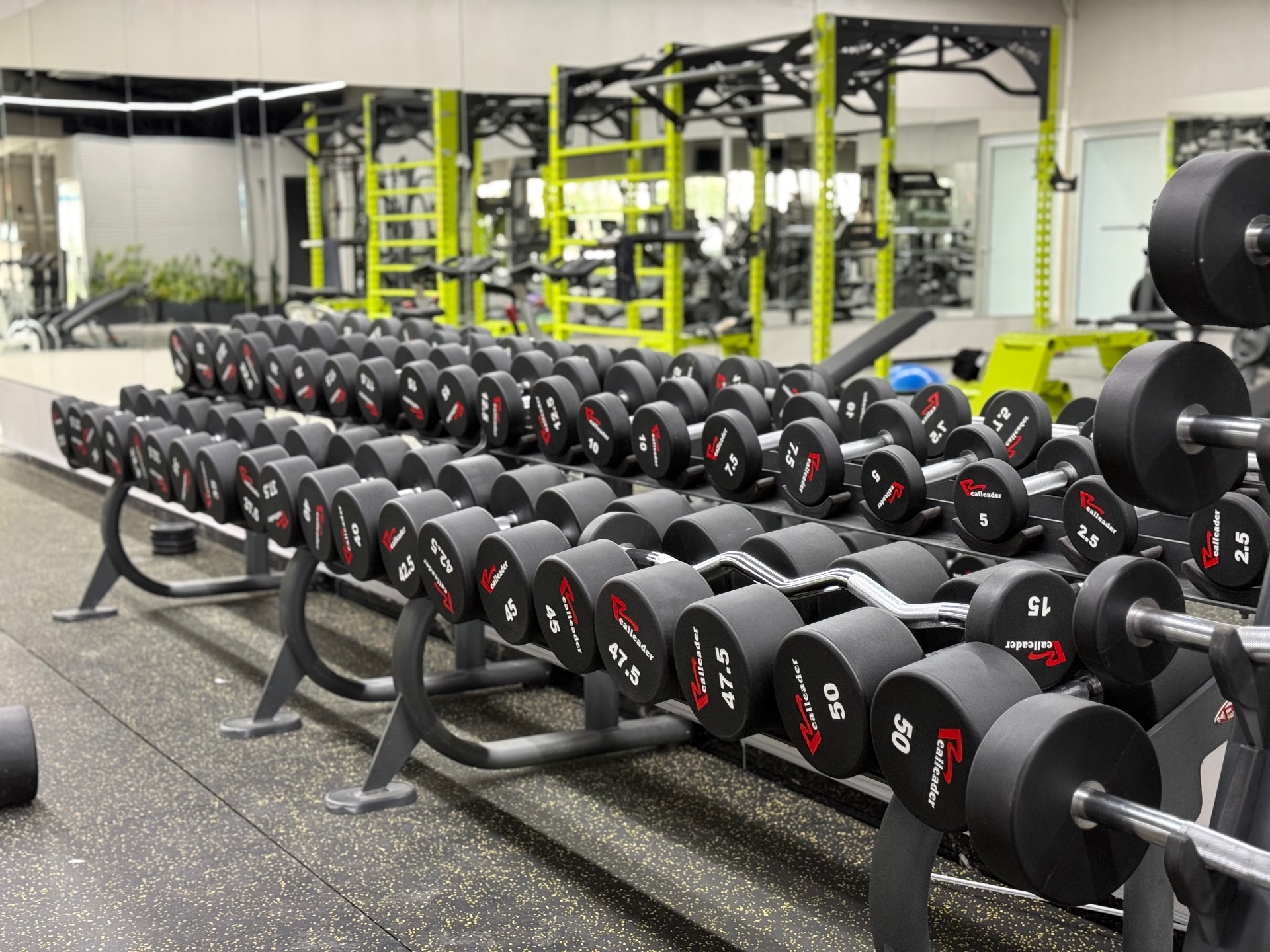 Free weights at VIP GYM Paralimni