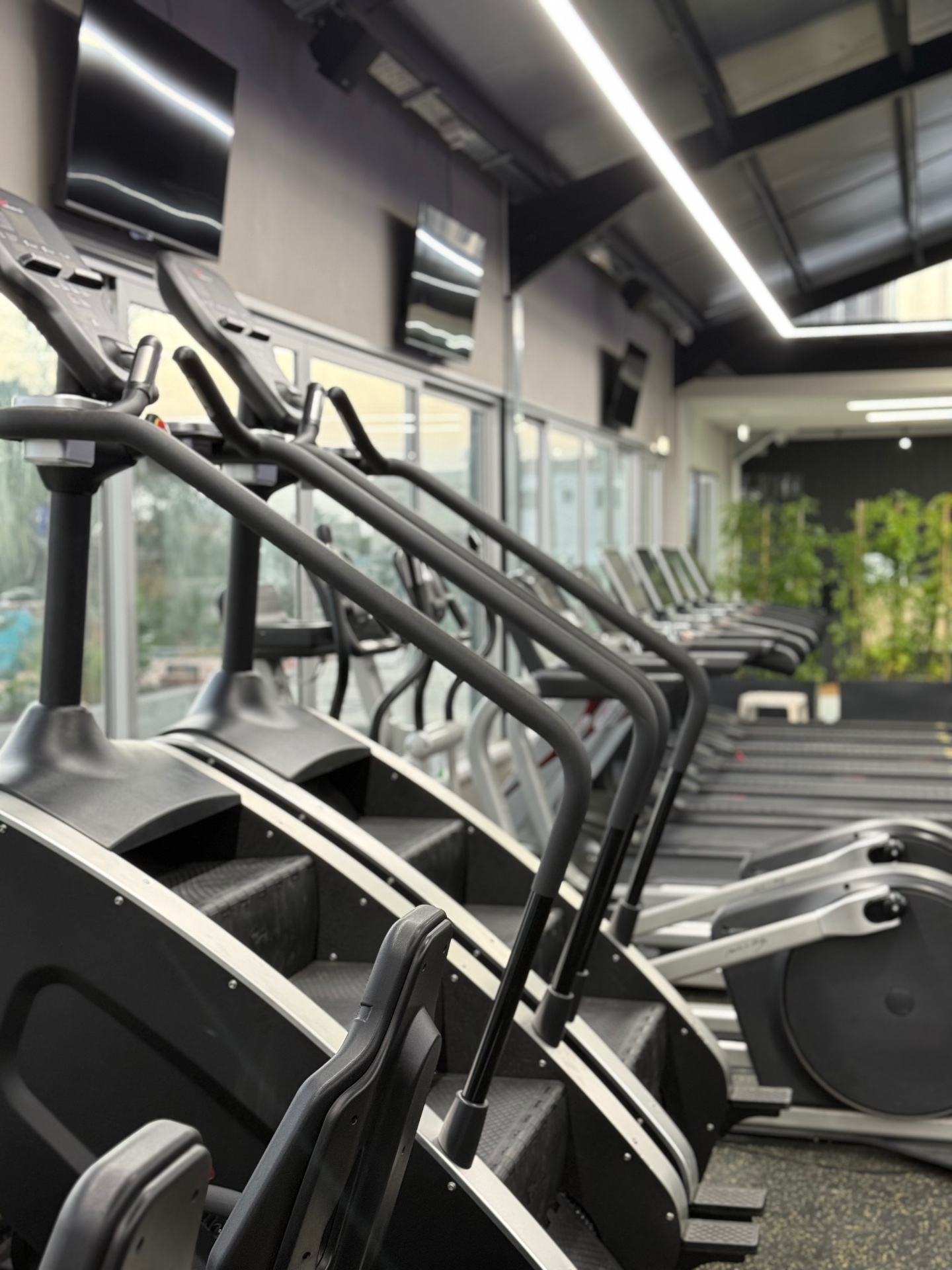 VIP GYM Paralimni cardio equipment 12